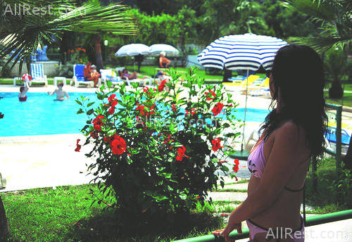 Golden Sun Hotel 24